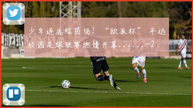 少年逐鹿绿茵场！“欧派杯” 平远校园足球联赛燃情开幕......