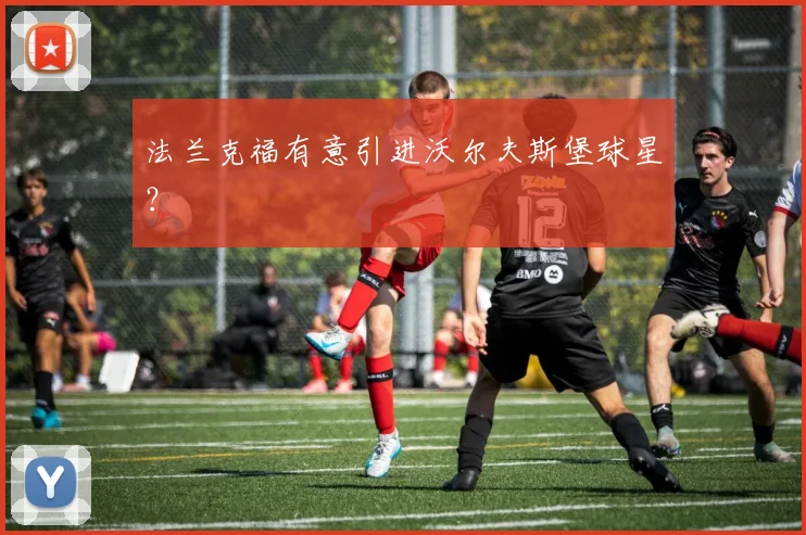 法兰克福有意引进沃尔夫斯堡球星？