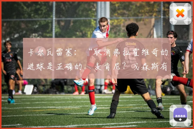卡尔瓦雷塞：“取消弗拉霍维奇的进球是正确的。麦肯尼？戈森斯有点夸大了”