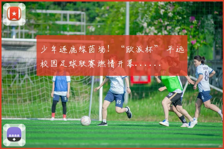 少年逐鹿绿茵场！“欧派杯” 平远校园足球联赛燃情开幕......